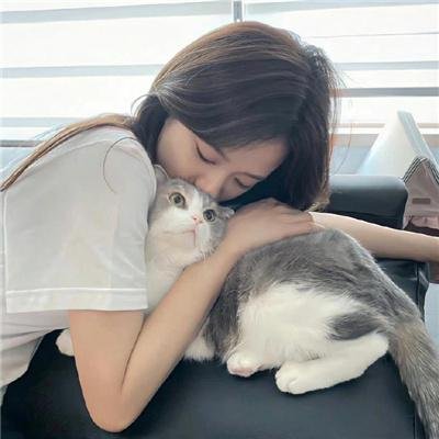 肥龙过江