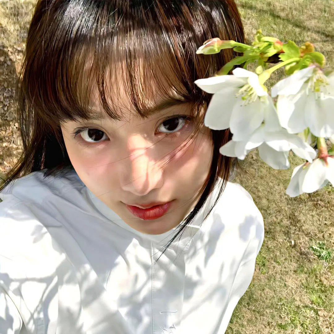 黑道风云